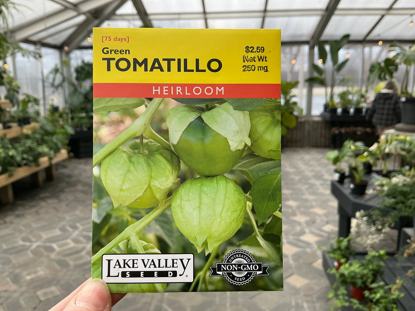 Physalis | Tomatillo Seed