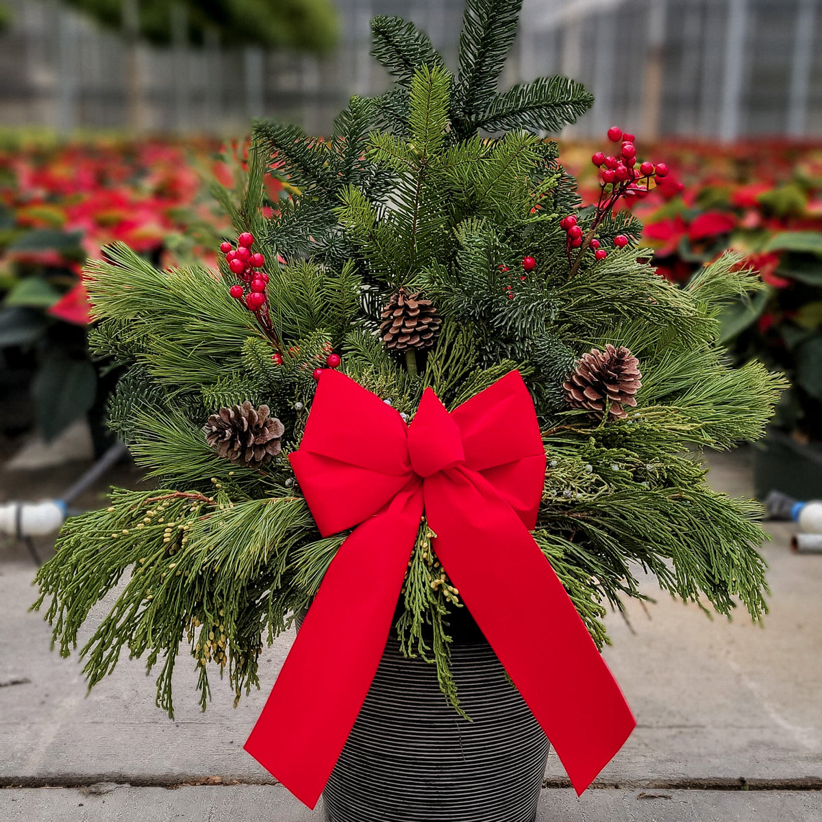 Middletown Private Party | Workshop | Porch Pot