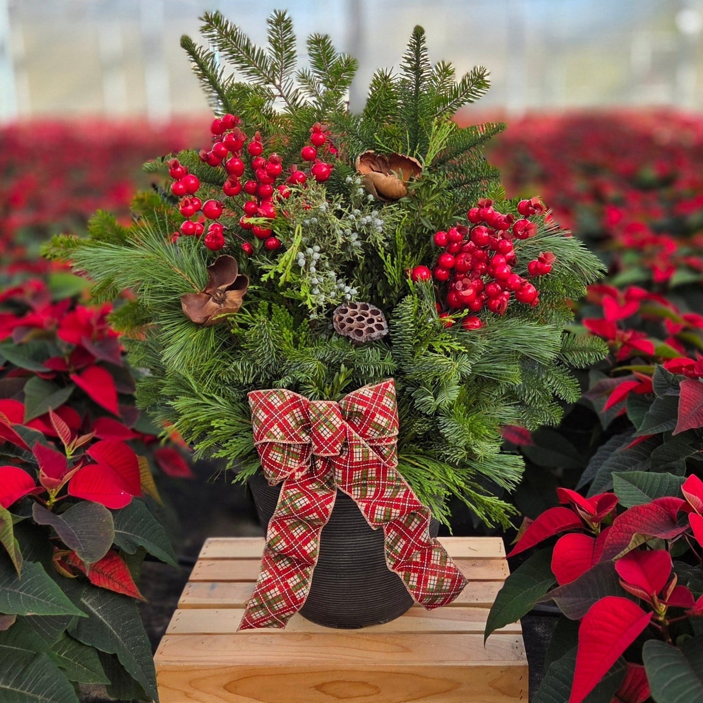 HolidayScape | Earth & Evergreen - Medium Patio Container