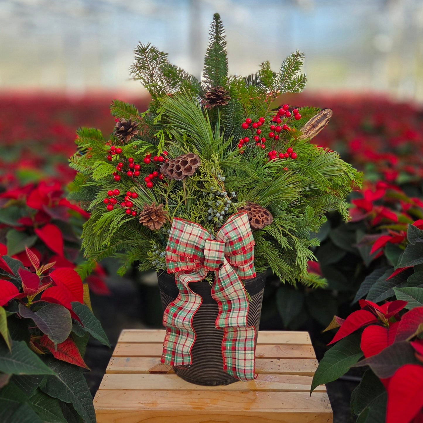 Winter Porch Pot | Earth & Evergreen | Small