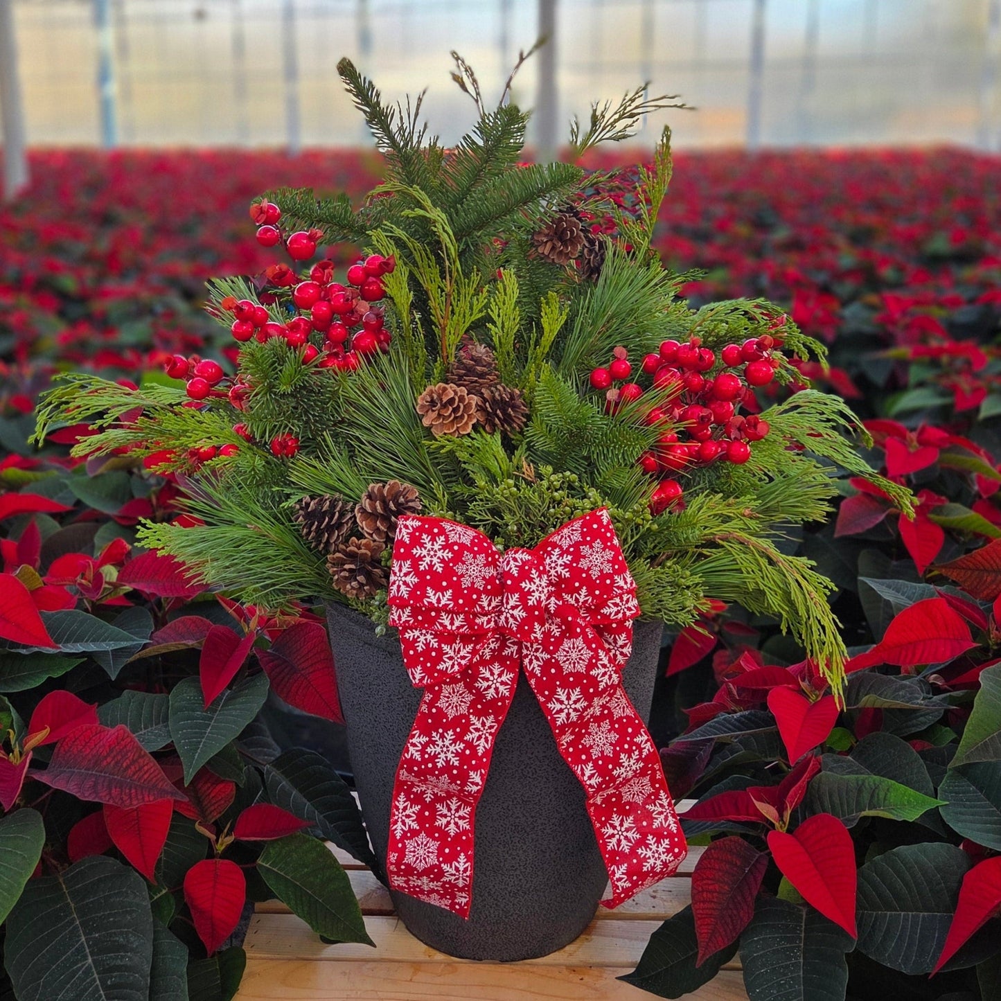 HolidayScape | Traditional Tidings - Medium Patio Container