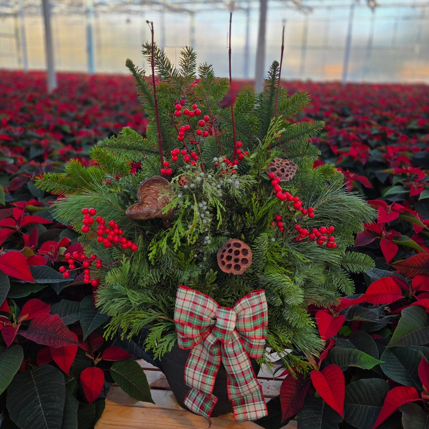 Winter Porch Pot Earth & Evergreen | Workshop