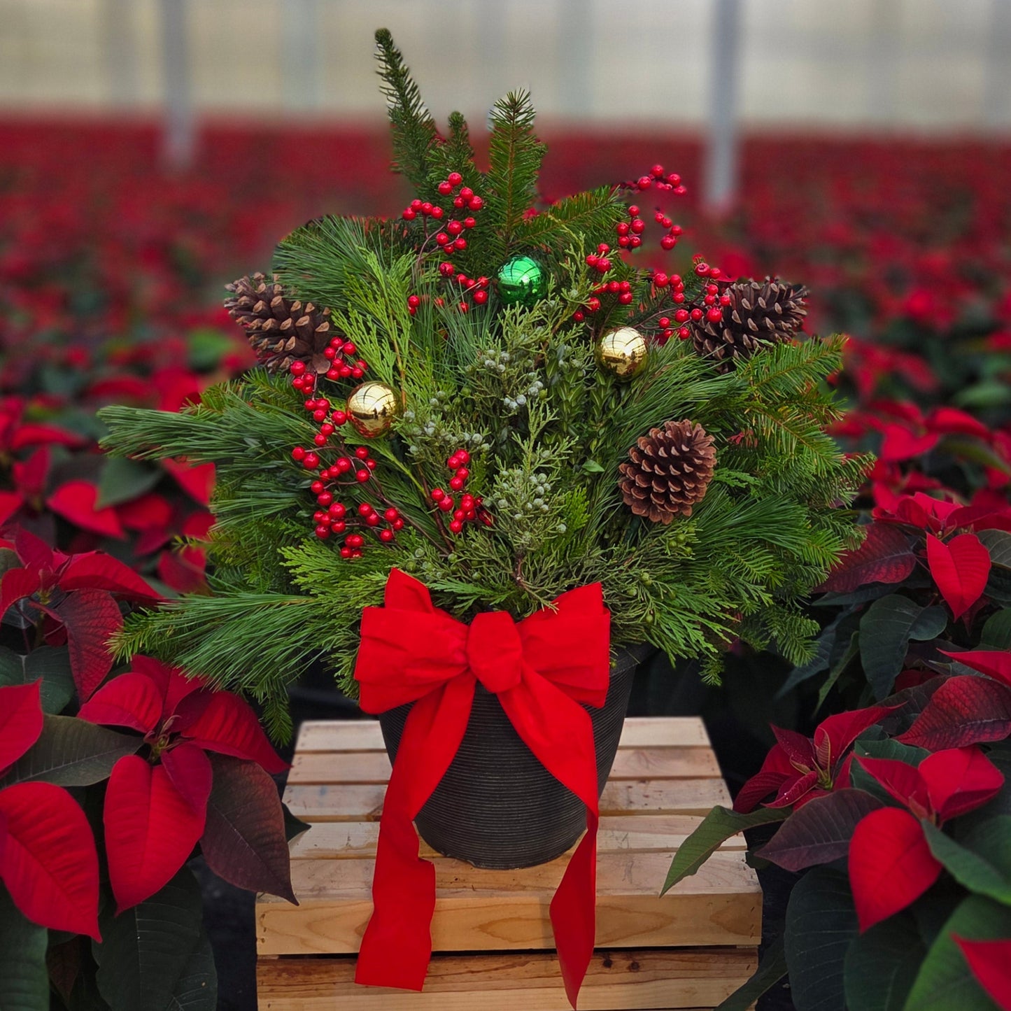 Winter Porch Pot Traditional Tidings | Workshop