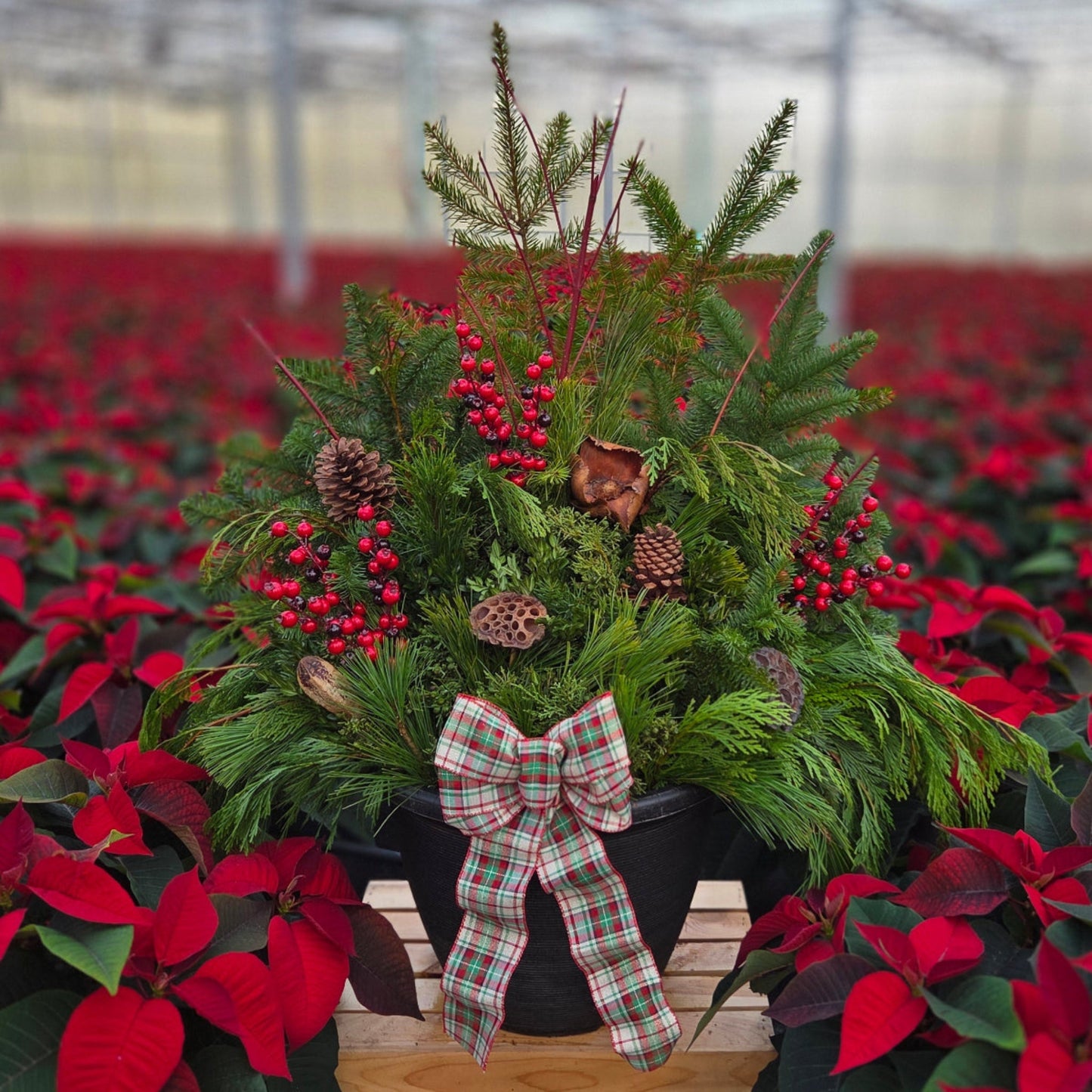 HolidayScape | Earth & Evergreen - Large Patio Container