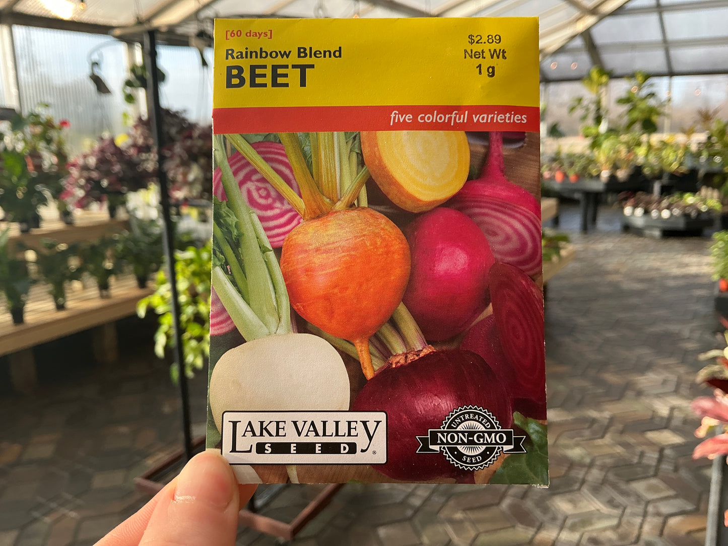 Beta | Beet Seed