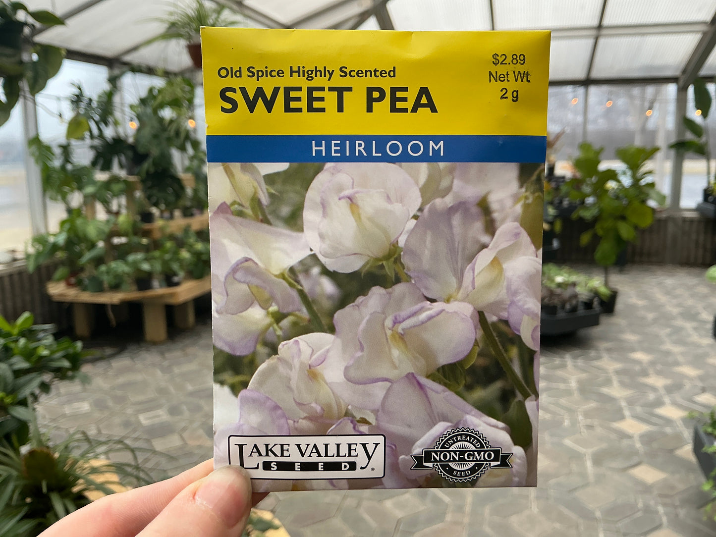Lathyrus | Sweet Pea Seed