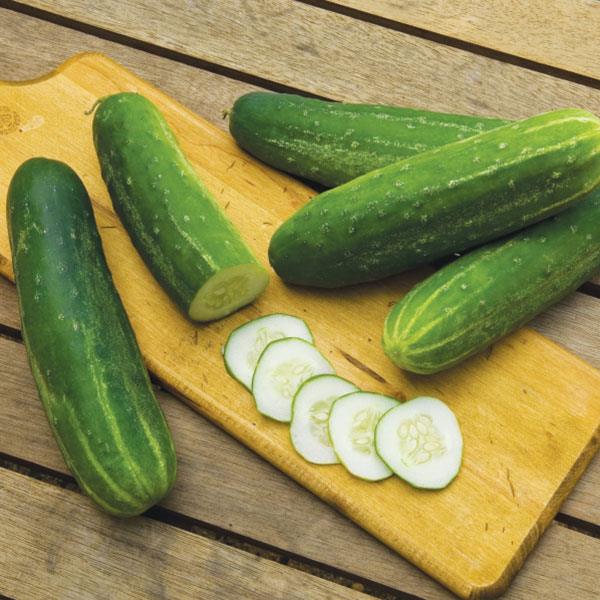 Cucumber | Straight Eight - 1 Pint