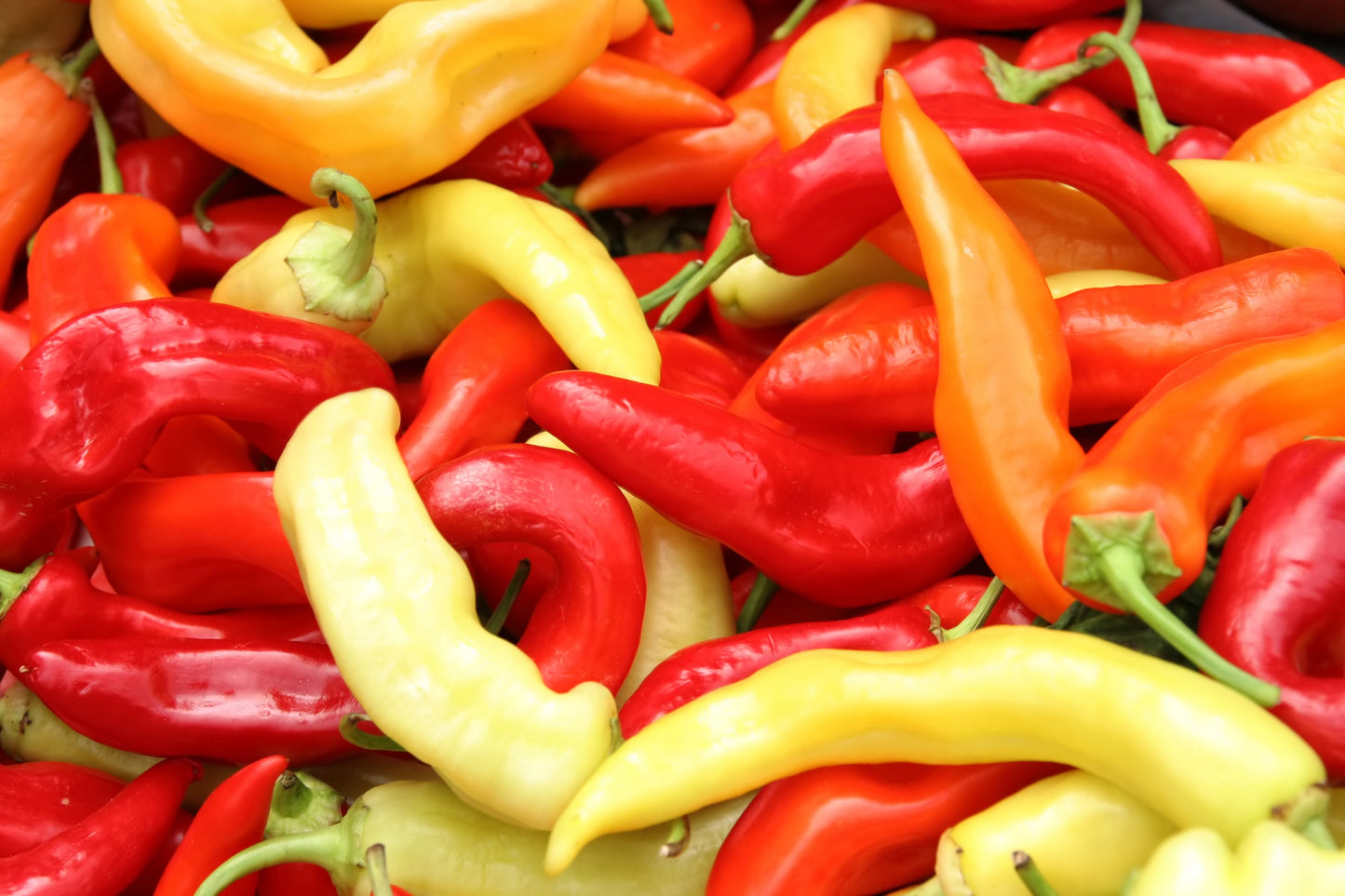 Pepper | Mild | Sweet Banana - 1 Gallon