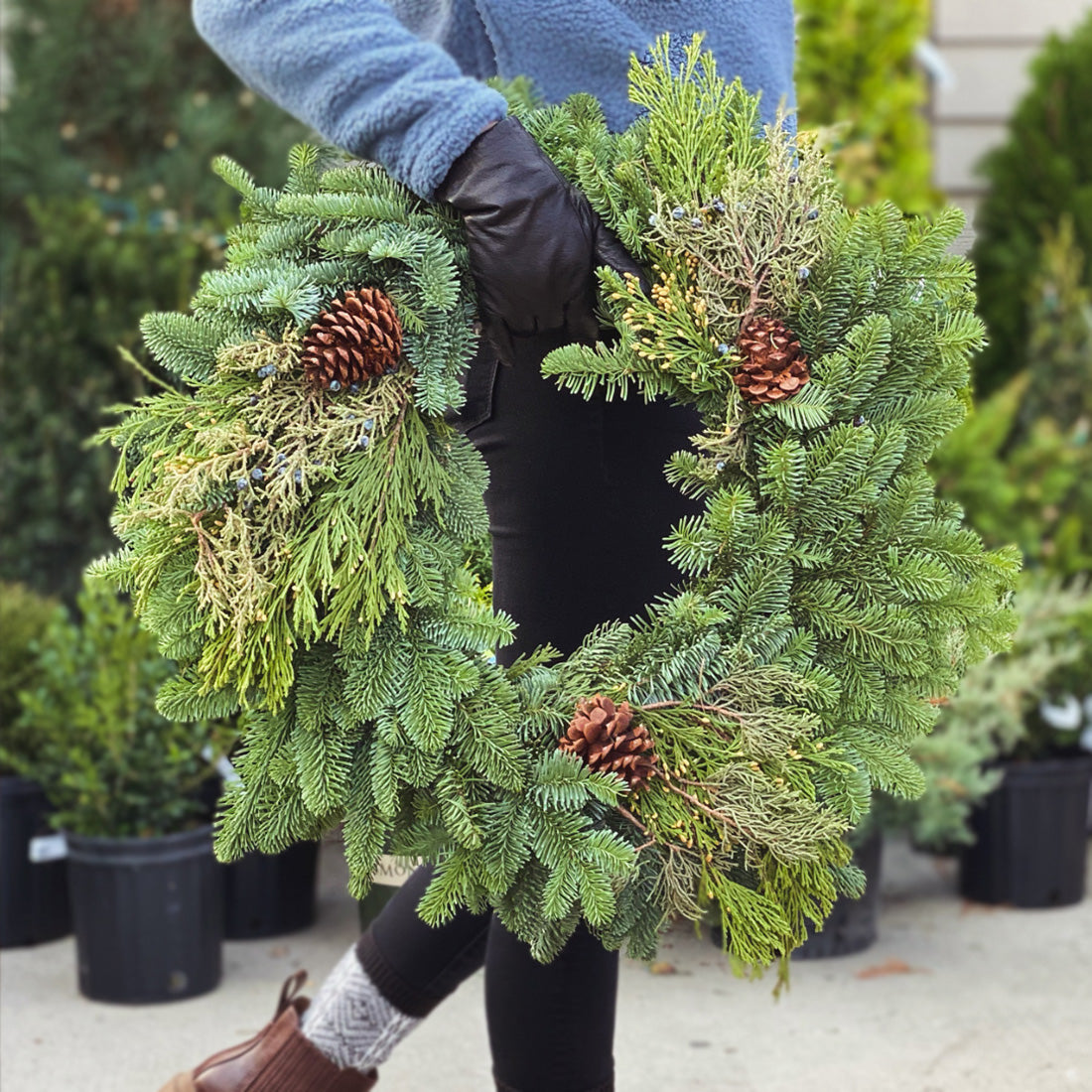 Live Greens | Live Wreath - 12"
