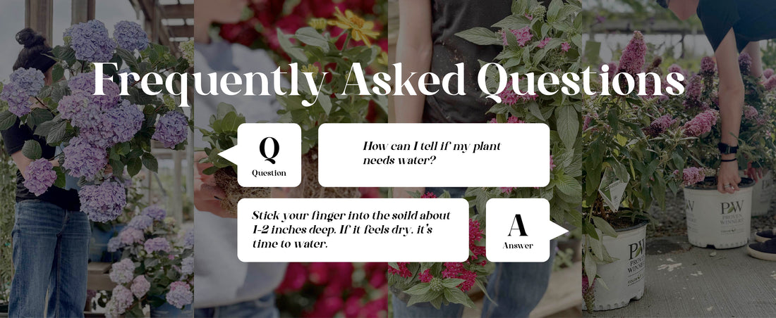 Your Garden Questions, Answered!