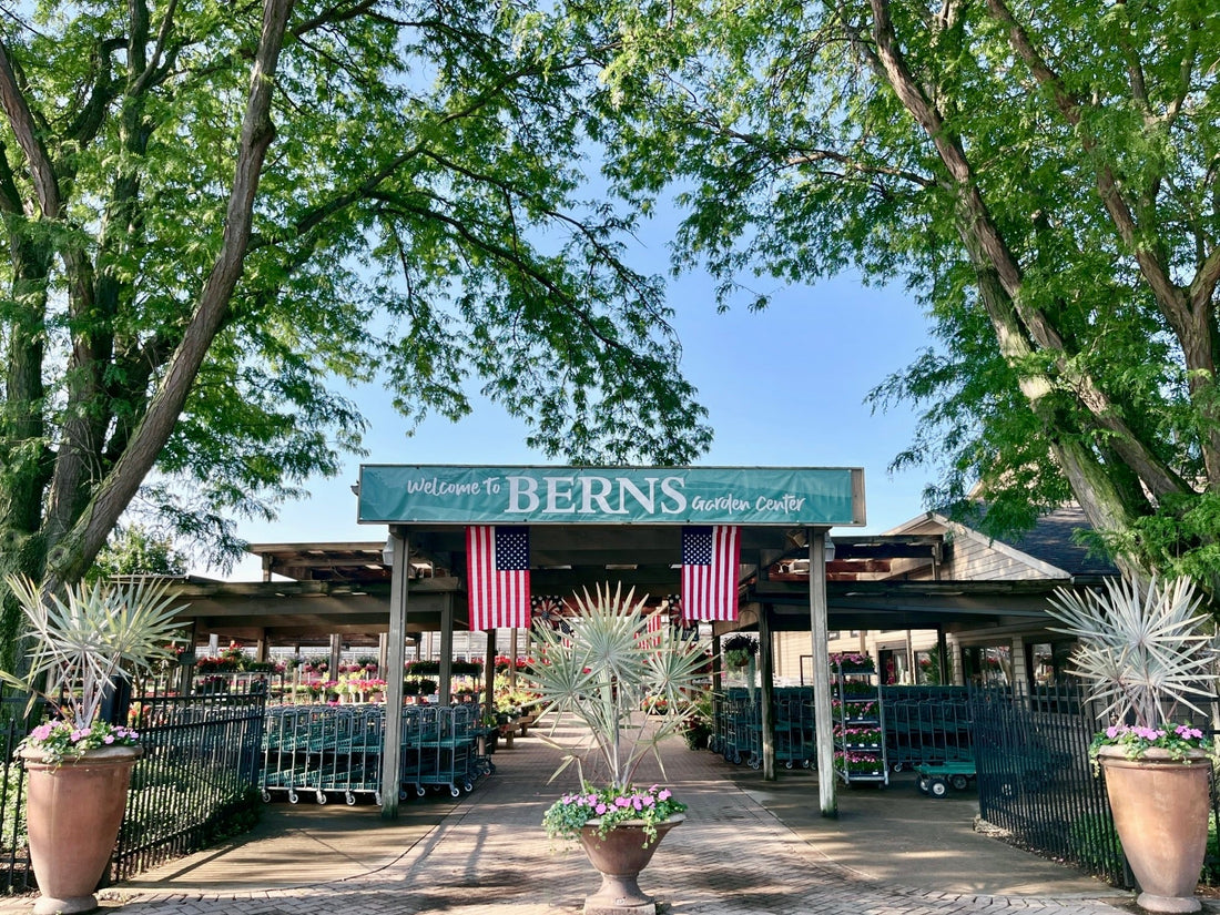 A Note from the Berns Family Spring 2026 | Berns' 70th Anniversary