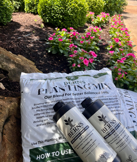 Introducing the Berns Planting Program