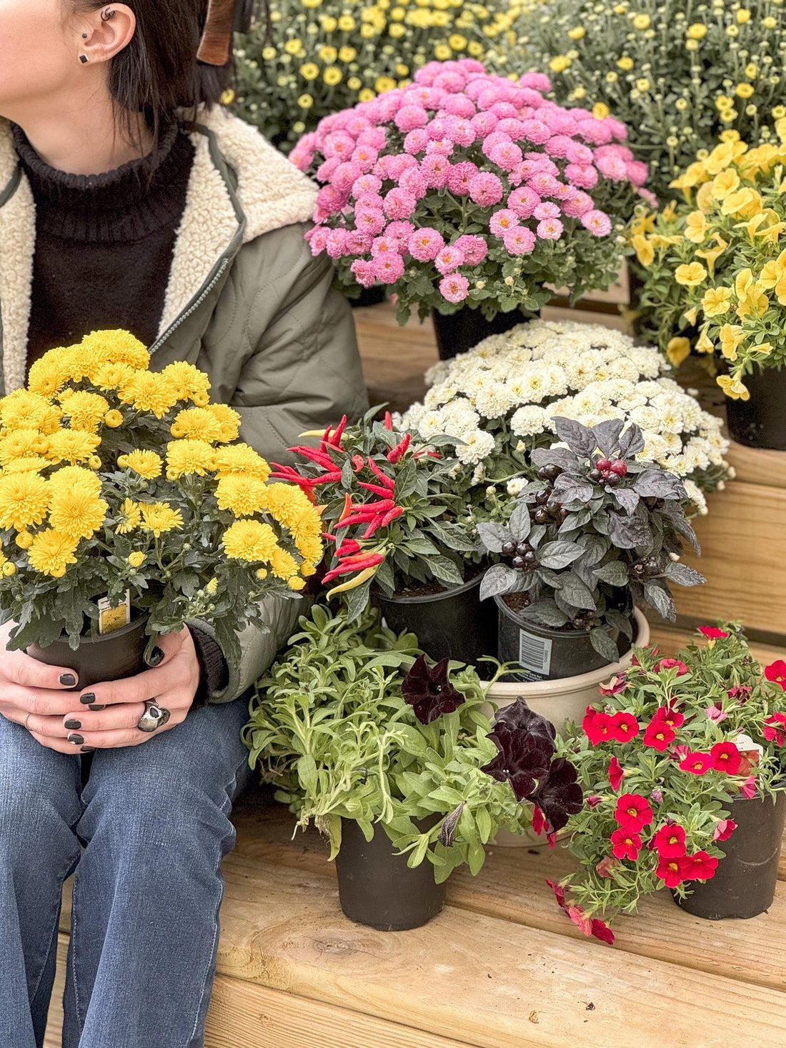 Vintage Autumn Inspiration: Fall Container Ideas with Mums, Rudbeckia, and Asters.
