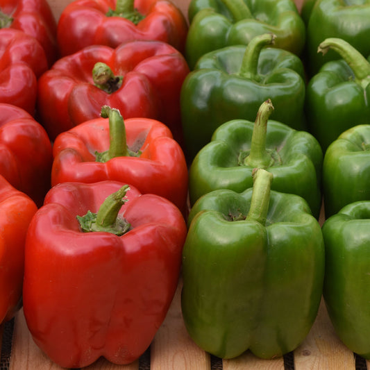 Grow What You Eat: Fresh Picks for a Flavor-Filled Summer Garden