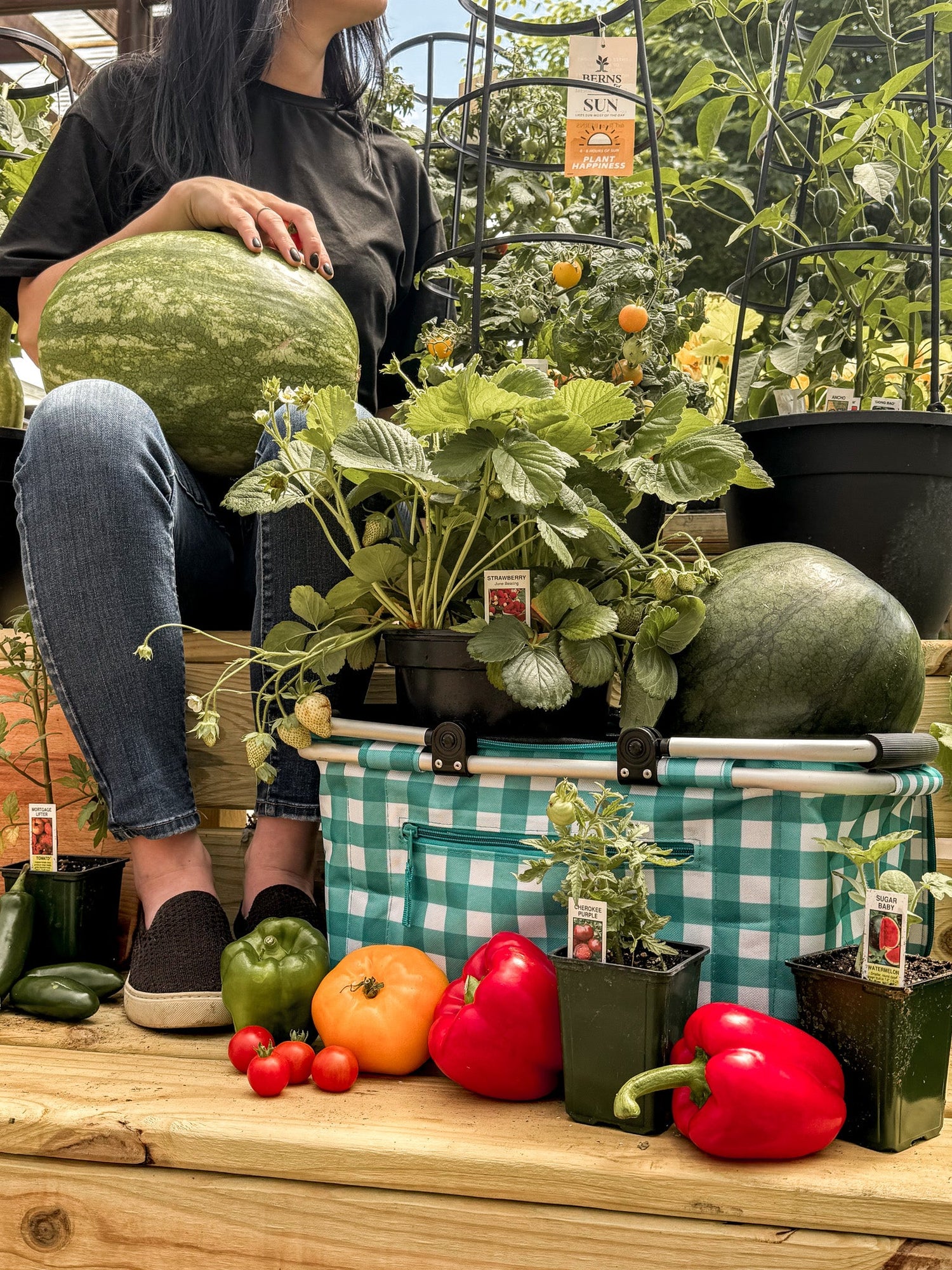 Preorder Spring Vegetables