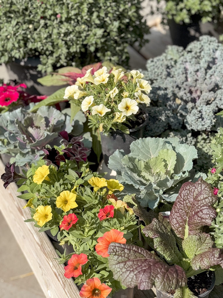 Vintage Autumn Gardening