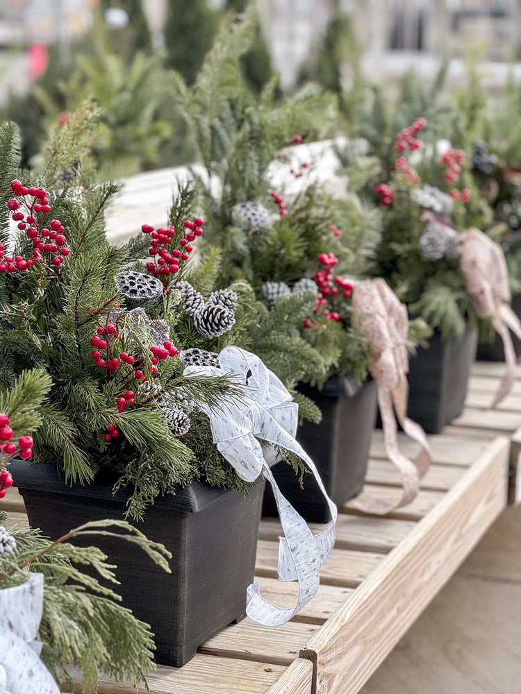 Winter Porch Pots