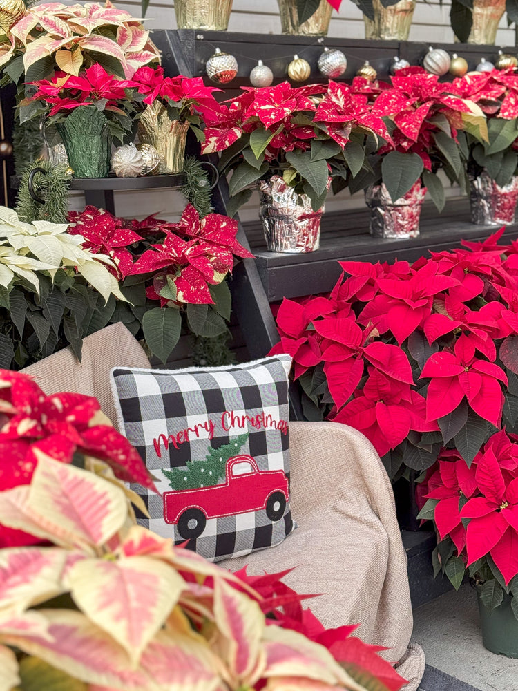 Berns Winter Fundraising