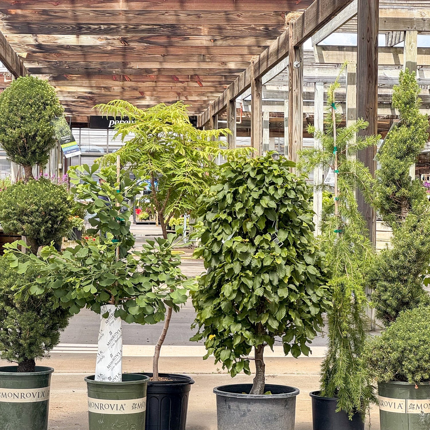 Unique Trees