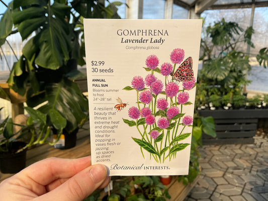 Gomphrena | Gomphrena Seed