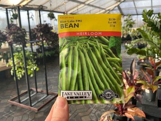 Phaseolus | Pole - Green - Bean Seed