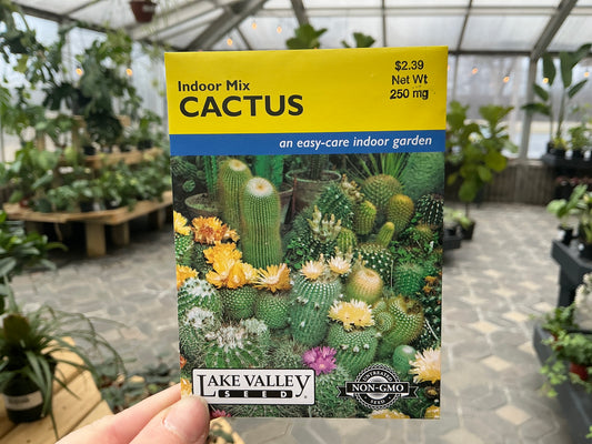 Cactaceae | Cactus Seed