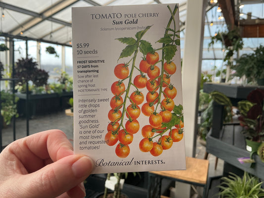 Solanum | Pole - Cherry - Tomato Seed