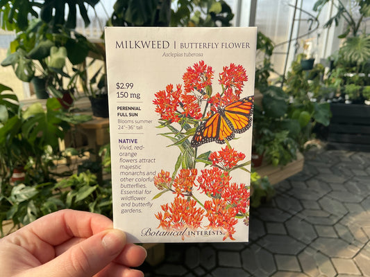 Asclepias | Milkweed Seed