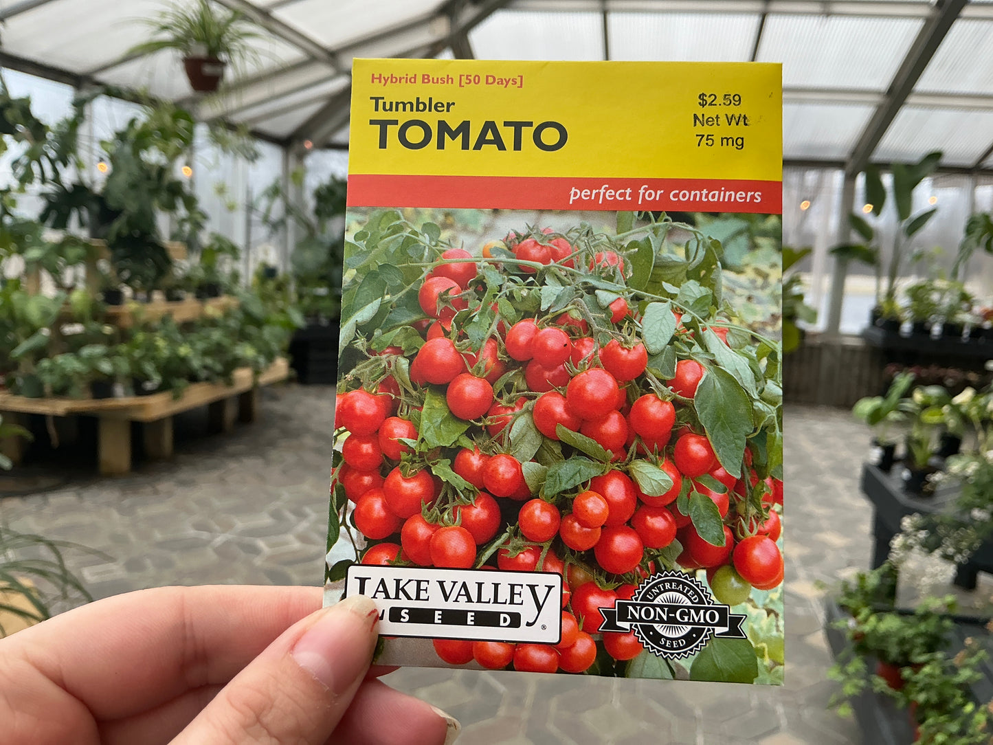 Lycopersicon | Bush - Cherry - Tomato Seed