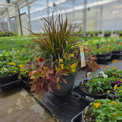 Fall | Combination Patio Pot