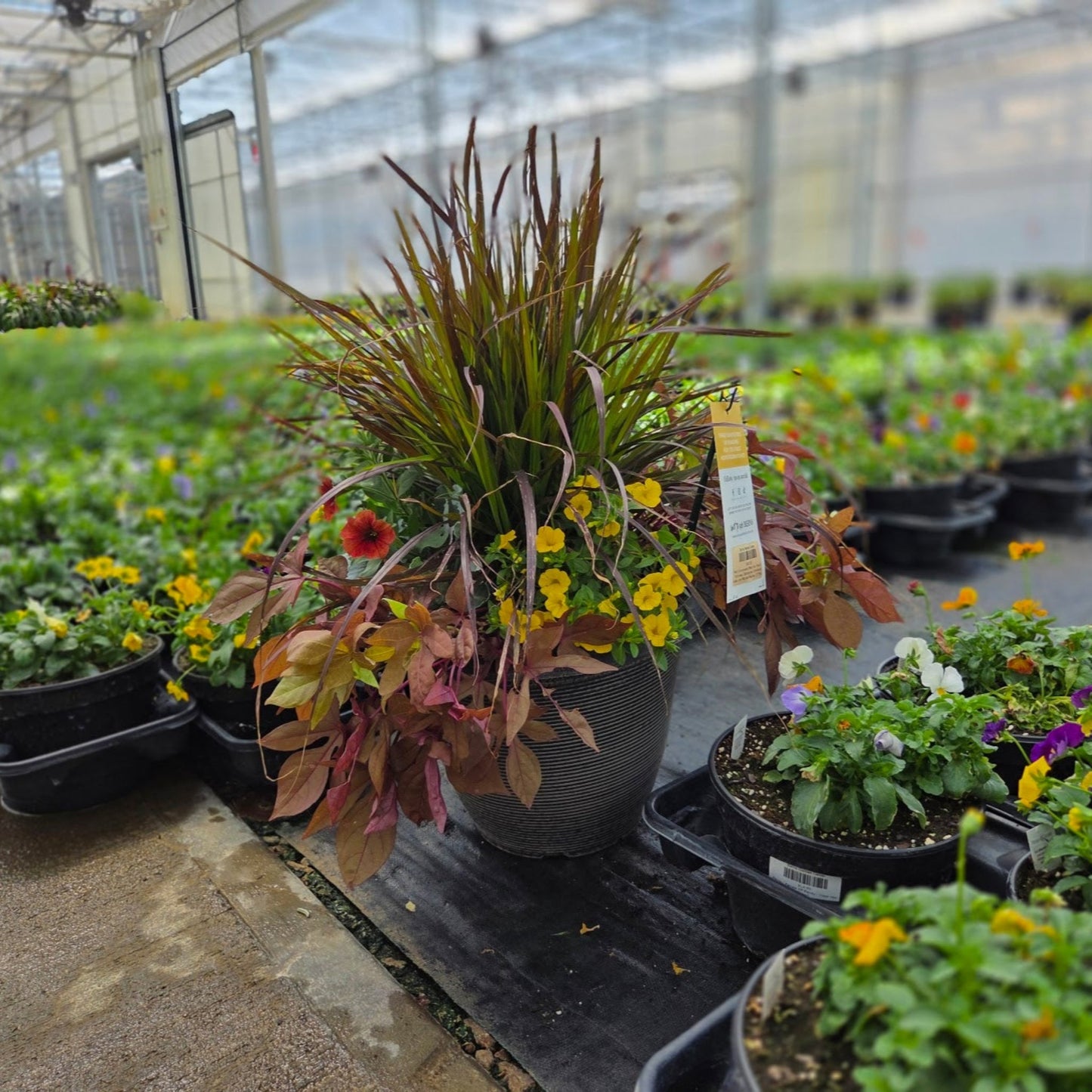PatioHaven | Autumn Harvest - Medium Patio Container