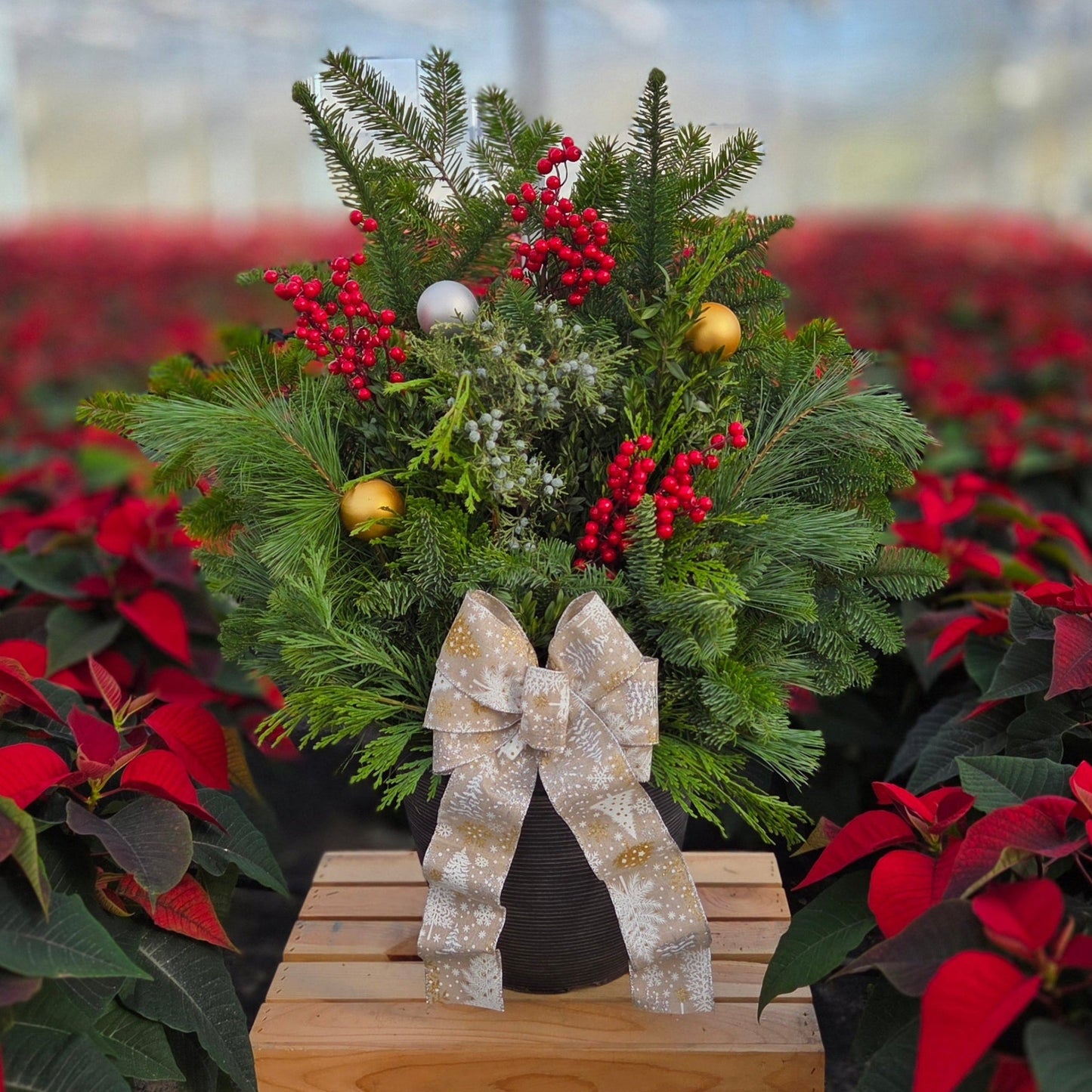 HolidayScape | Merry & Bright - Medium Patio Container