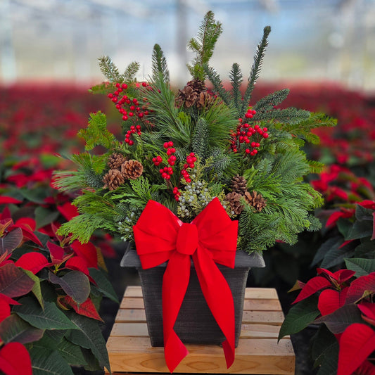 Winter Porch Pot | Traditional Tidings | Medium