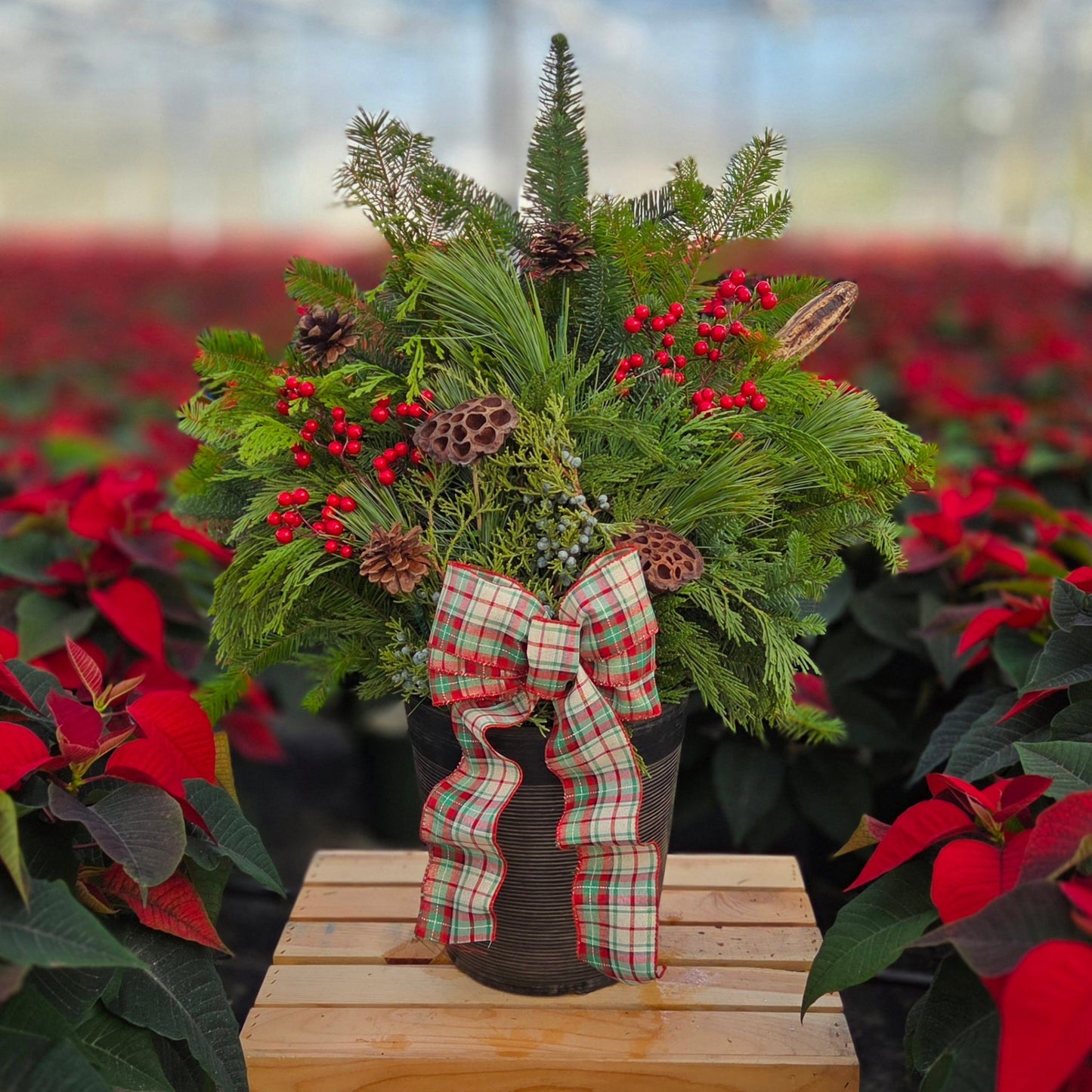 HolidayScape | Earth & Evergreen - Small Patio Container