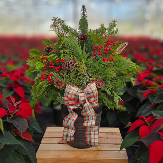 HolidayScape | Earth & Evergreen - Small Patio Container