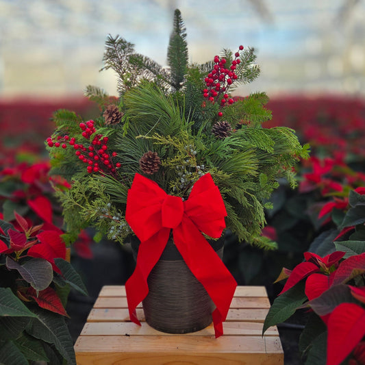 Winter Porch Pot | Traditional Tidings | Small