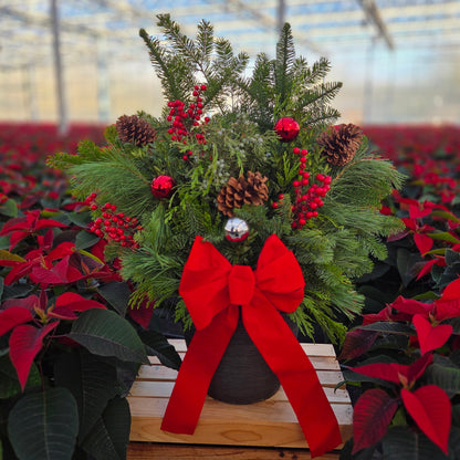 Winter Porch Pot Traditional Tidings | Workshop