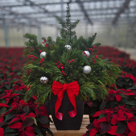 Winter Porch Pot | Merry & Bright | Grand