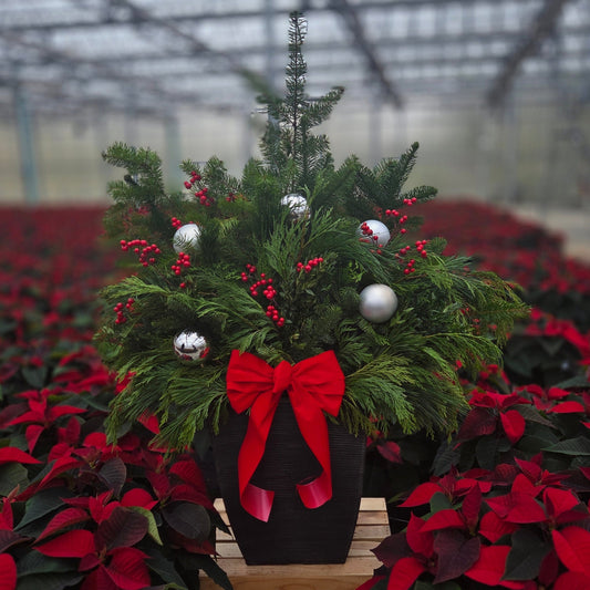 HolidayScape | Merry & Bright - Grand Patio Container