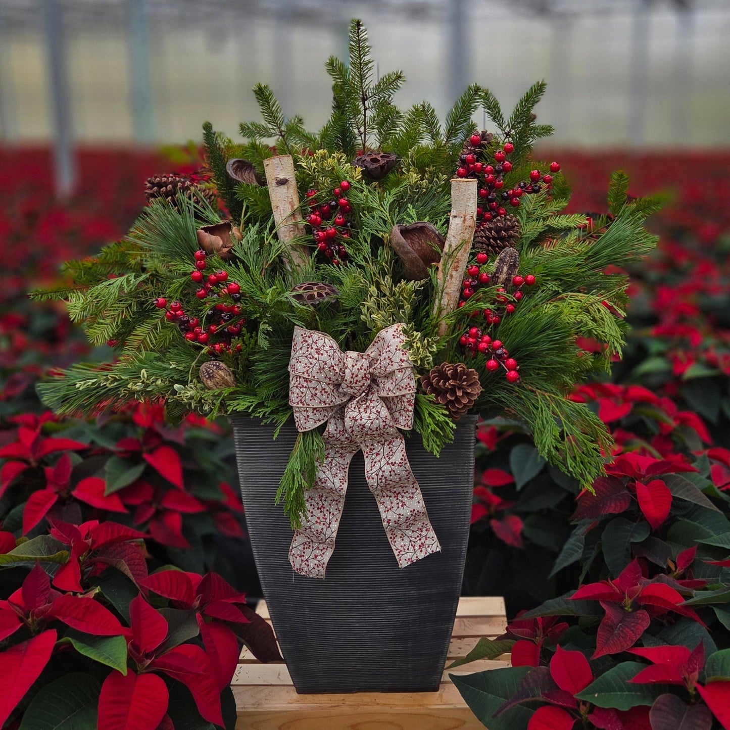 HolidayScape | Earth & Evergreen - Grand Patio Container