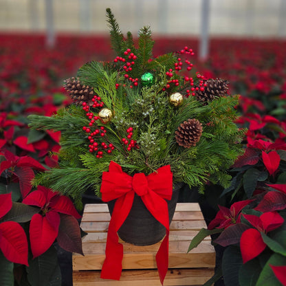 Winter Porch Pot Traditional Tidings | Workshop