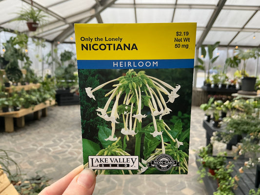 Nicotiana | Nicotiana Seed
