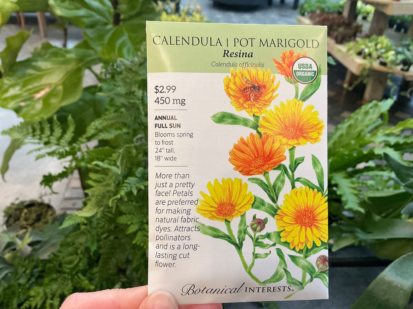 organic marigold seeds Calendula | Pot Marigold Organic Seed