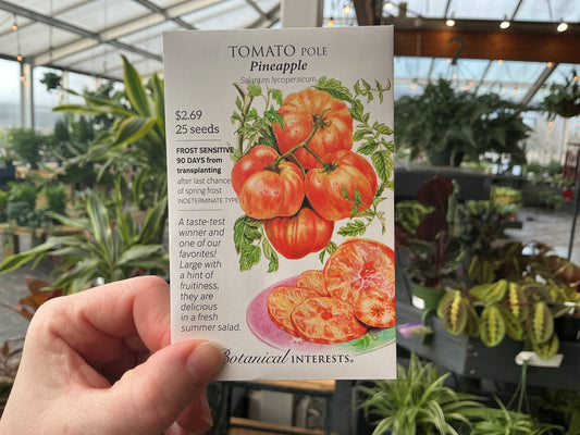 Solanum | Pole - Tomato Seed