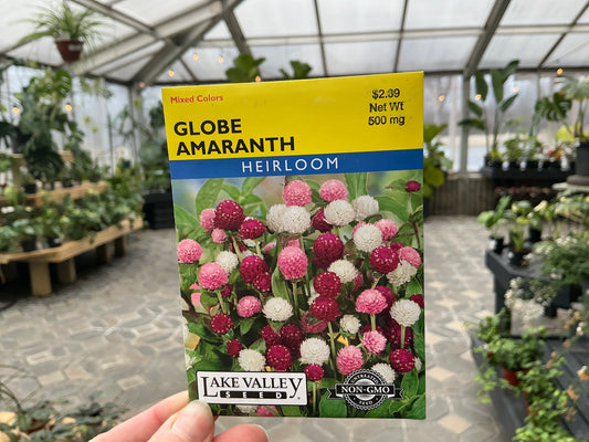 Gomphrena | Amaranth Seed