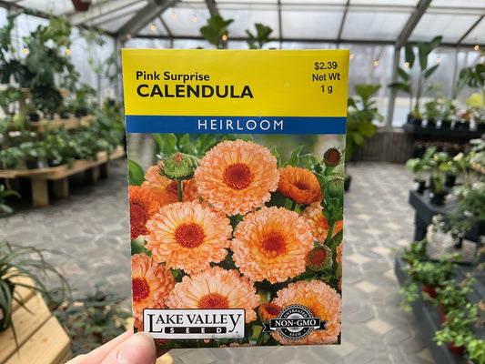 Calendula | Calendula Seed