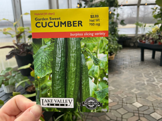Cucumis | Burpless - Cucumber Seed