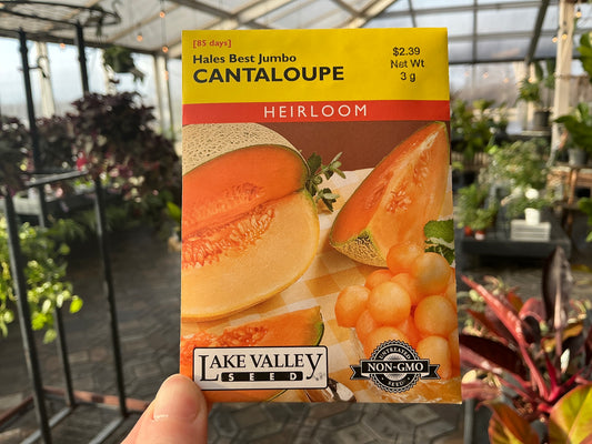 Cucumis | Cantaloupe Seed