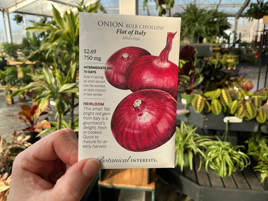 Allium | Bulb - Onion Seed