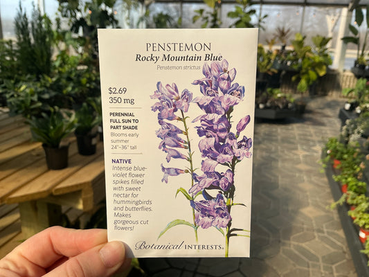 Penstemon | Penstemon Seed